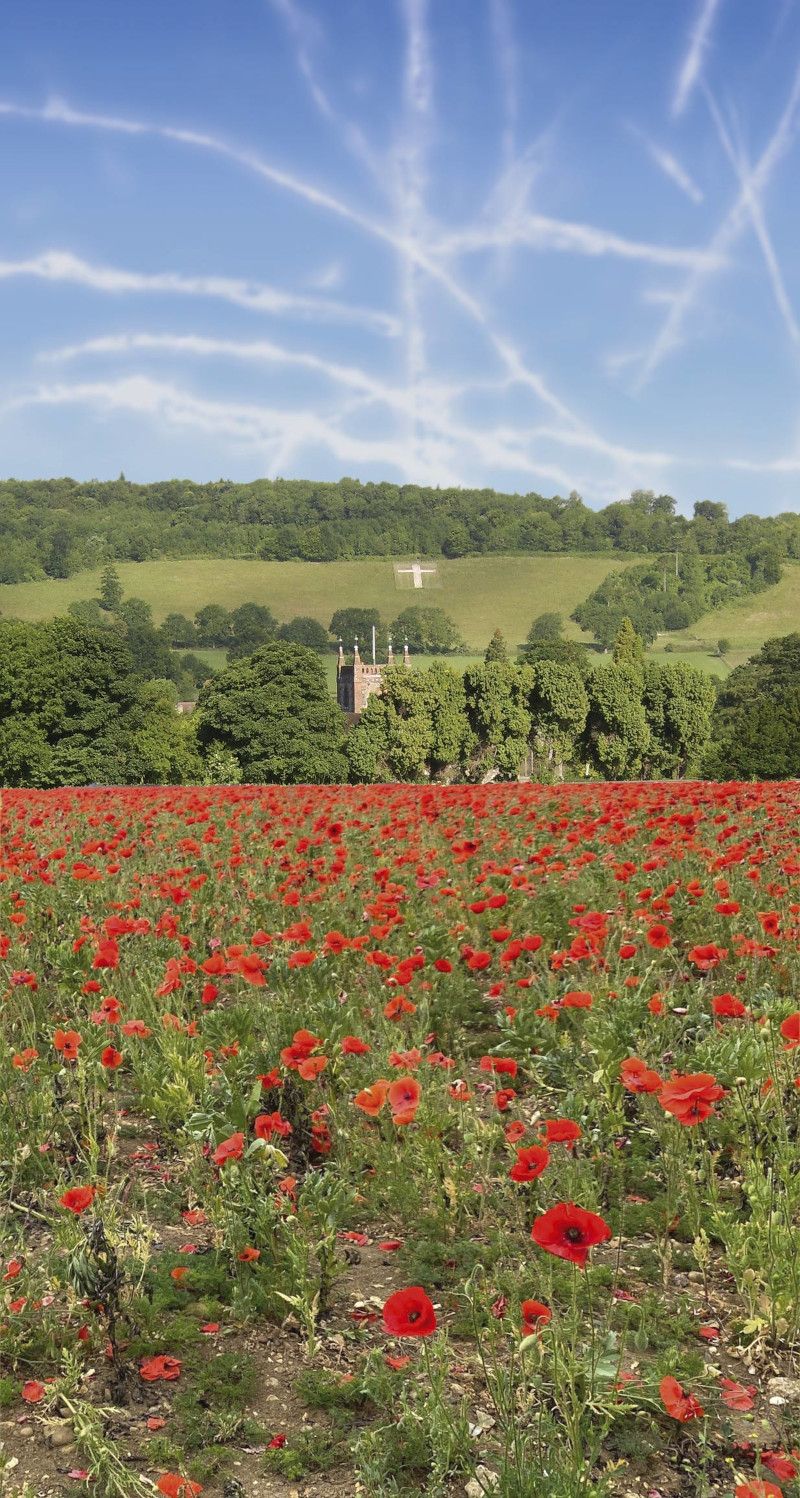 Remembrance Sunday, November 12th